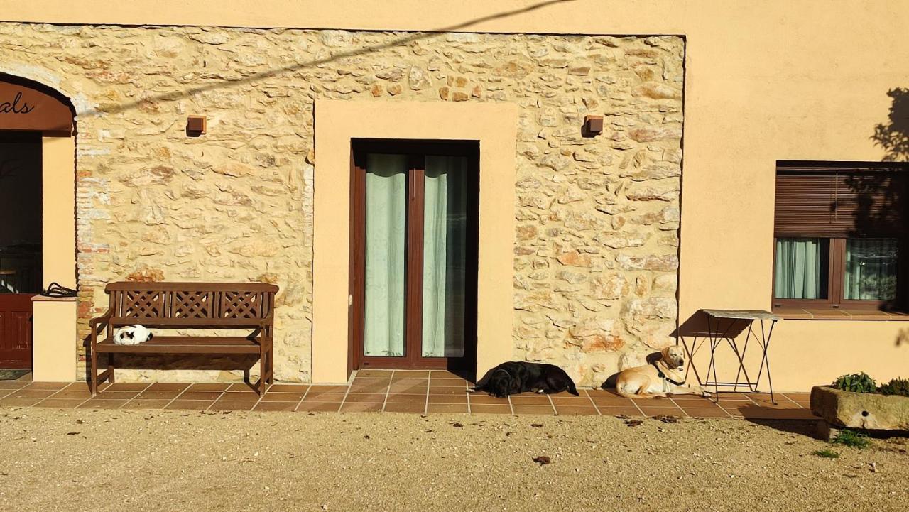 Can Costals Terraza Pals Eksteriør bilde