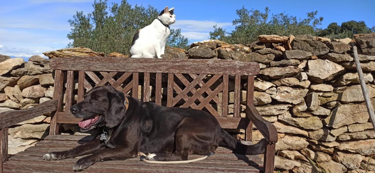 Can Costals Terraza Pals Eksteriør bilde